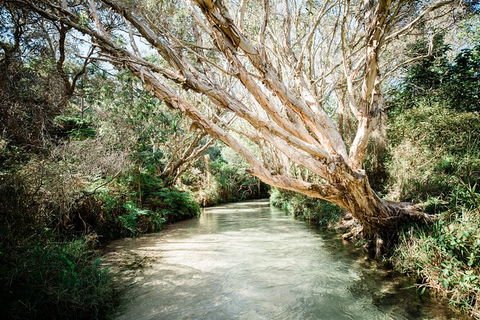 All-Inclusive 2-Day Fraser Island Tour - Hervey Bay Accommodation 11
