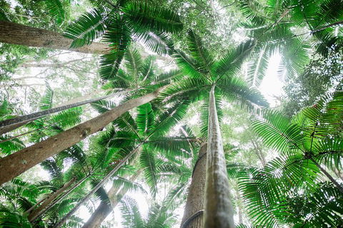 All-Inclusive 2-Day Fraser Island Tour - Hervey Bay Accommodation 8