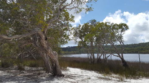 North Stradbroke Island Day Trip From Brisbane - Hervey Bay Accommodation 14