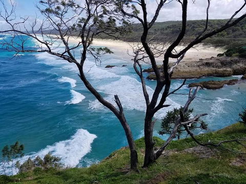 North Stradbroke Island Day Trip From Brisbane - Hervey Bay Accommodation 5