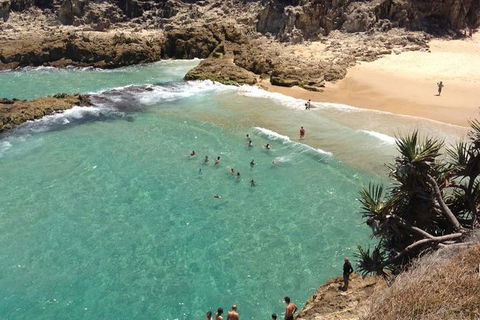 North Stradbroke Island Day Trip From Brisbane - Hervey Bay Accommodation 1