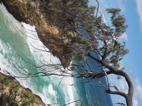 North Stradbroke Island Day Trip From Brisbane - Hervey Bay Accommodation 16