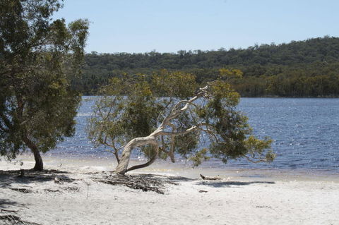 North Stradbroke Island Day Trip From Brisbane - Hervey Bay Accommodation 24