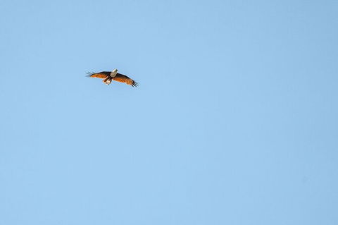 North Stradbroke Island Day Trip From Brisbane - Hervey Bay Accommodation 32