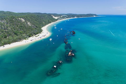 Cape Moreton Scenic 4WD Day Tour From Brisbane Or The Gold Coast - Hervey Bay Accommodation 8