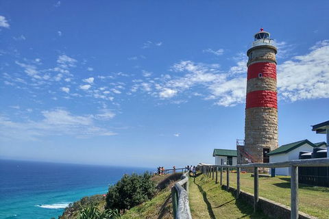 Cape Moreton Scenic 4WD Day Tour From Brisbane Or The Gold Coast - Hervey Bay Accommodation 6