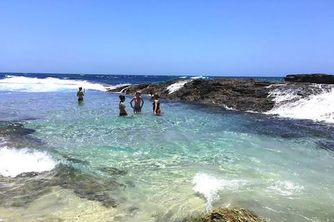 Cape Moreton Scenic 4WD Day Tour From Brisbane Or The Gold Coast - Hervey Bay Accommodation 3