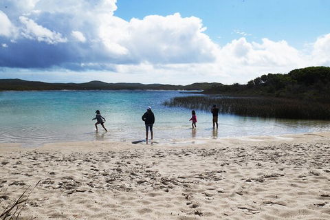 Cape Moreton Scenic 4WD Day Tour From Brisbane Or The Gold Coast - Hervey Bay Accommodation 5