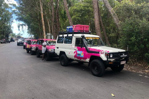 2-Day Fraser Island 4WD Tag-Along Tour At Beach House From Hervey Bay - Hervey Bay Accommodation 6
