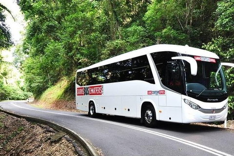 Palm Cove Departure Transfer - Palm Cove To Airport - Hervey Bay Accommodation 1