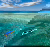 Ocean Safari Great Barrier Reef Experience in Cape Tribulation - Tourism Hervey Bay