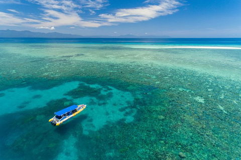 Ocean Safari Great Barrier Reef Experience In Cape Tribulation - Hervey Bay Accommodation 0