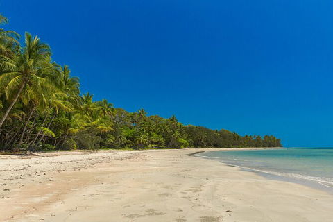 Ocean Safari Great Barrier Reef Experience In Cape Tribulation - Hervey Bay Accommodation 3