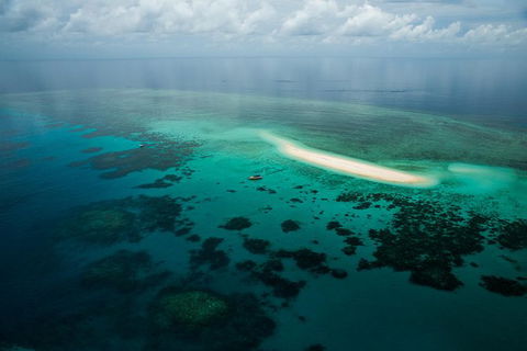 Ocean Safari Great Barrier Reef Experience In Cape Tribulation - Hervey Bay Accommodation 16