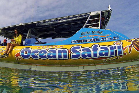 Ocean Safari Great Barrier Reef Experience In Cape Tribulation - Hervey Bay Accommodation 8