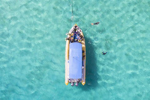 Ocean Safari Great Barrier Reef Experience In Cape Tribulation - Hervey Bay Accommodation 17