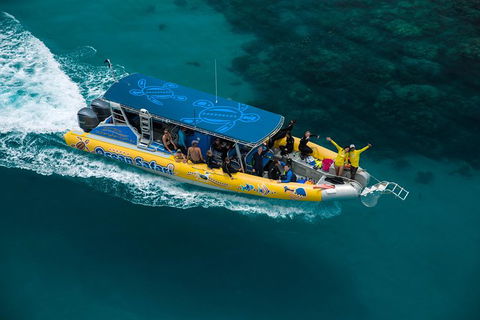 Ocean Safari Great Barrier Reef Experience In Cape Tribulation - Hervey Bay Accommodation 9