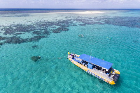 Ocean Safari Great Barrier Reef Experience In Cape Tribulation - Hervey Bay Accommodation 11
