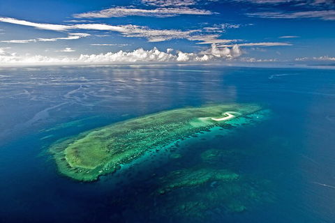 Ocean Safari Great Barrier Reef Experience In Cape Tribulation - Hervey Bay Accommodation 15