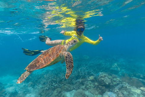 Ocean Safari Great Barrier Reef Experience In Cape Tribulation - Hervey Bay Accommodation 14