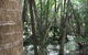 5-Day Fraser Island And Great Barrier Reef Tour - thumb 4