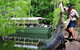 Crocs, Creatures And Culture Tour Ex Cairns - thumb 1