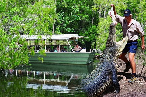 Crocs, Creatures And Culture Tour Ex Cairns - Hervey Bay Accommodation 1