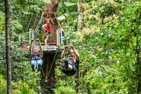 Cape Tribulation Jungle Surfing Canopy Tour - Tourism Hervey Bay 1
