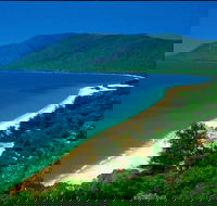 Cairns Reef and Rainforest Combo Daintree Rainforest and the Great Barrier Reef - Tourism Hervey Bay