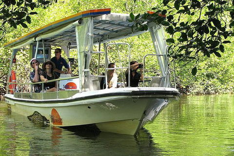 Cairns Reef And Rainforest Combo: Daintree Rainforest And The Great Barrier Reef - Hervey Bay Accommodation 5
