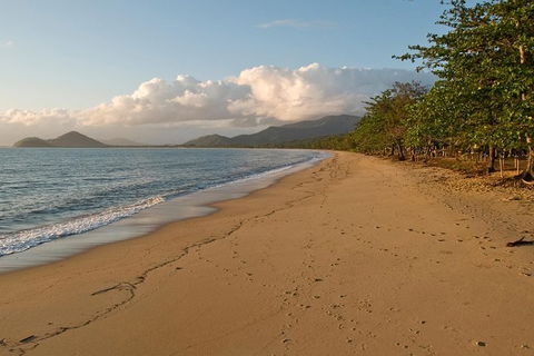 Cairns Reef And Rainforest Combo: Daintree Rainforest And The Great Barrier Reef - Hervey Bay Accommodation 10