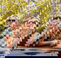 Luxury Brisbane Airport Transfers To and From Surfers Paradise for up to 11 Per