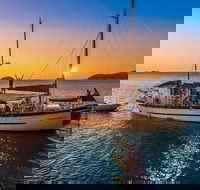 Stray Australia Brisbane to Cairns Freestyle Tour