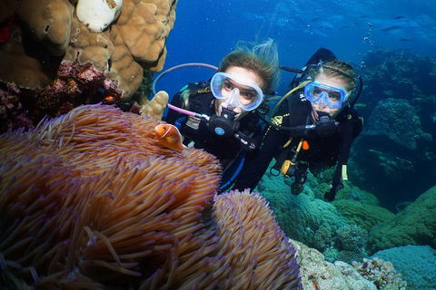 Quicksilver Dive 4 Day PADI Learn To Dive Course - Hervey Bay Accommodation 0