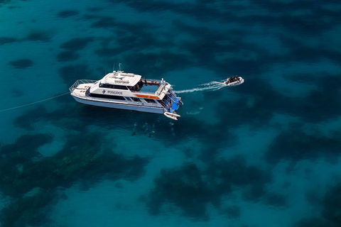 Quicksilver Dive 4 Day PADI Learn To Dive Course - Hervey Bay Accommodation 5