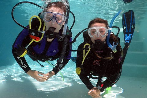 Quicksilver Dive 4 Day PADI Learn To Dive Course - Hervey Bay Accommodation 7