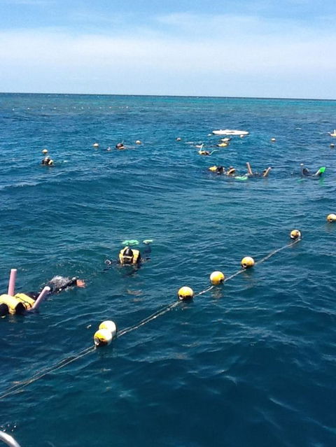 Quicksilver Outer Great Barrier Reef Snorkel Cruise From Port Douglas - Tourism Hervey Bay 2