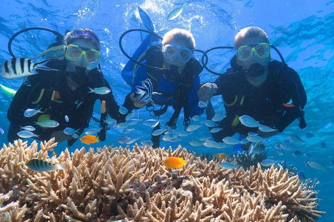 Quicksilver Outer Great Barrier Reef Snorkel Cruise From Port Douglas - Tourism Hervey Bay 1