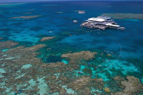 Quicksilver Outer Great Barrier Reef Snorkel Cruise From Port Douglas - Tourism Hervey Bay 0