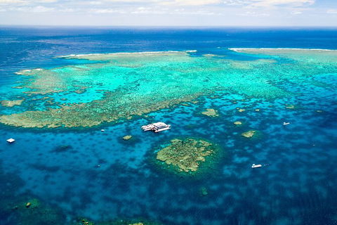 Quicksilver Outer Great Barrier Reef Snorkel Cruise From Port Douglas - Tourism Hervey Bay 5