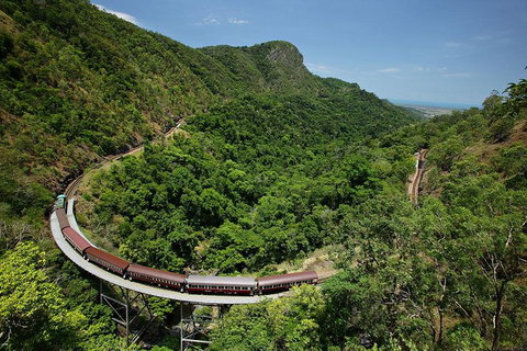 Skyrail Rainforest Cableway Day Trip From Palm Cove - Hervey Bay Accommodation 5