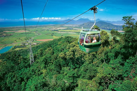 Skyrail Rainforest Cableway Day Trip From Palm Cove - Hervey Bay Accommodation 3