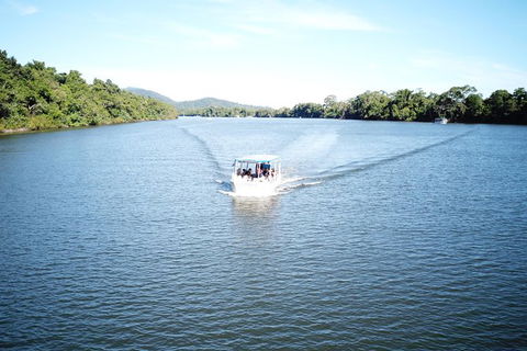 1-Hour Daintree River Wildlife Cruise - Hervey Bay Accommodation 9