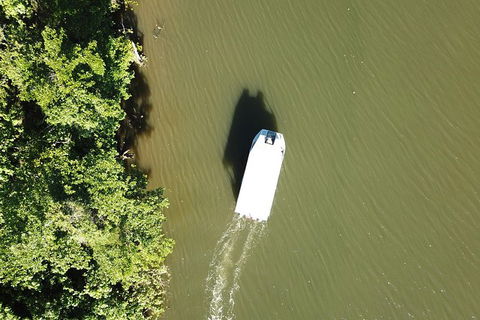 1-Hour Daintree River Wildlife Cruise - Hervey Bay Accommodation 3