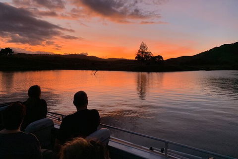 Daintree River Dawn Cruise - Hervey Bay Accommodation 8