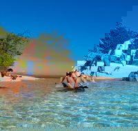 Half Day Low Isles Snorkelling Tour from Port Douglas