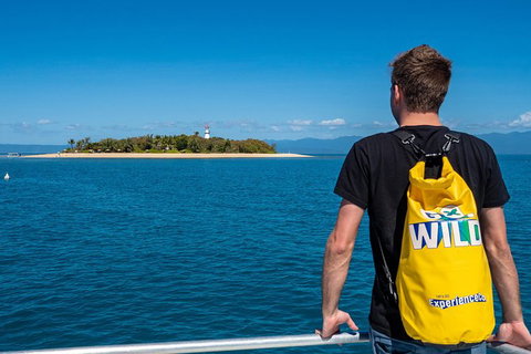 Half Day Low Isles Snorkelling Tour From Port Douglas - Tourism Hervey Bay 1