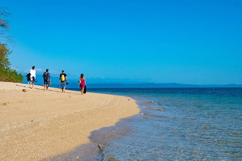 Half Day Low Isles Snorkelling Tour From Port Douglas - Tourism Hervey Bay 3