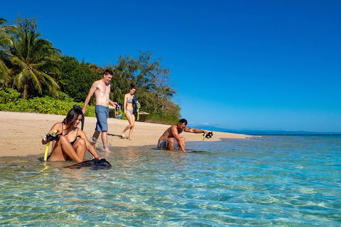 Half Day Low Isles Snorkelling Tour From Port Douglas - Tourism Hervey Bay 2