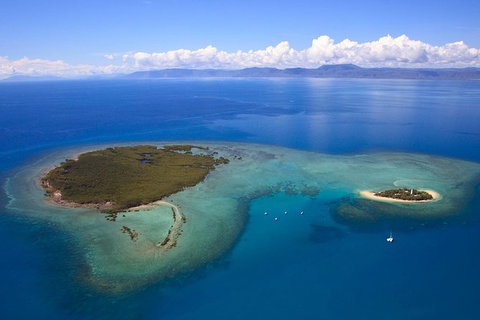 Half Day Low Isles Snorkelling Tour From Port Douglas - Tourism Hervey Bay 4